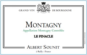 Albert Sounit Montagny Le Pinacle 2020