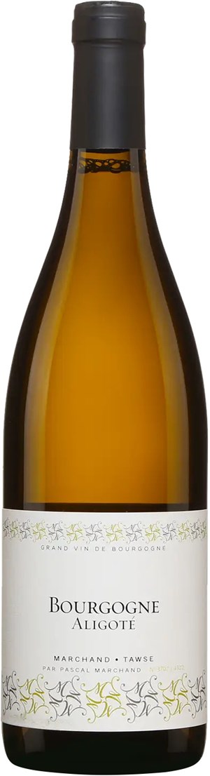 Marchand-Tawse Bourgogne Aligoté 2022