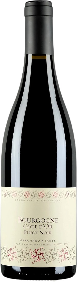 Marchand-Tawse Bourgogne Côte d´Or 2022