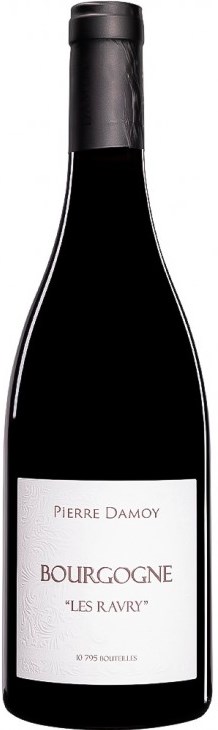 Domaine Pierre Damoy Bourgogne Rouge Les Ravry 2019