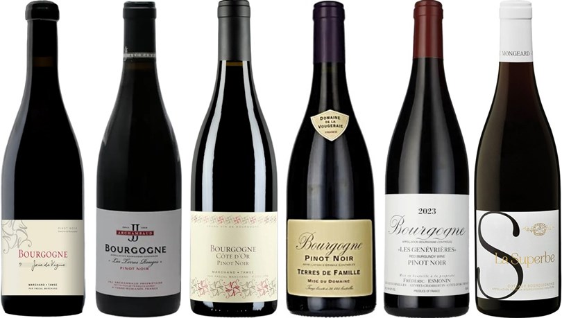 Winefinders Röda Bourgognelådan 