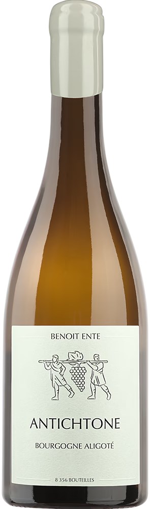 Domaine Benoit Ente Bourgogne Aligoté Antichtone 2022