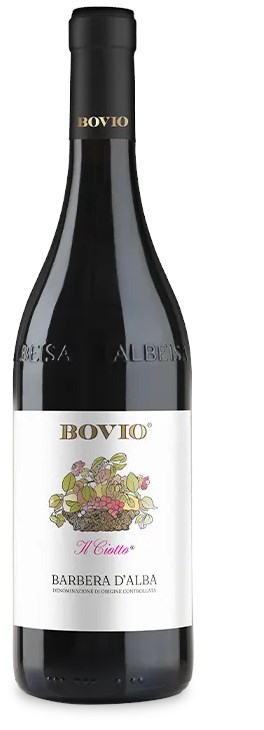 Bovio Gianfranco Barbera dAlba DOC Il Ciotto 2024