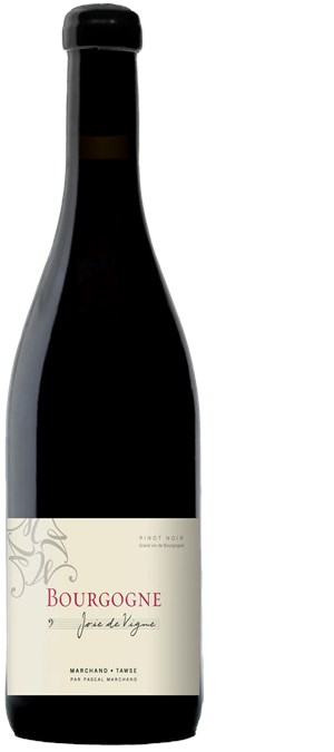 Marchand-Tawse Bourgogne Pinot Noir Joie de Vigne 2022