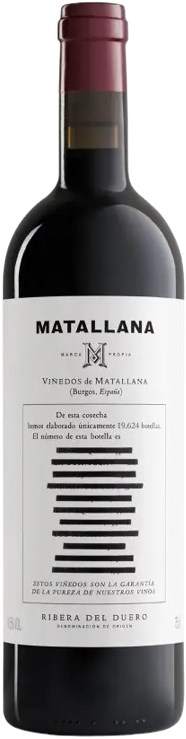 Telmo Rodriguez Matallana  2019