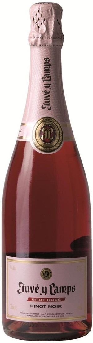 Juve Y Camps Cava Juve y Camps Pinot Noir Rose Brut Juve Y Camps