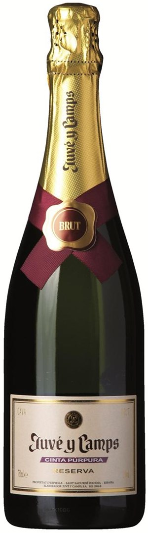 Juve Y Camps Cava Juve y Camps Reserva 2007