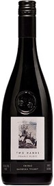 Two Hands Gnarly Dudes Barossa Valley Shiraz 2012