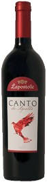 El Enemigo Wines Canto de Apalta 2012