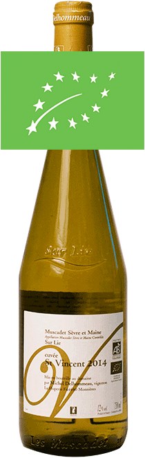 Les Vignes Saint Vincent Cuvée Saint Vincent Øko Muscadet Sèvre&Maine St Vincent 2016