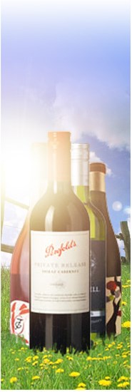 Winefinders Sommarlåda 